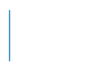 Crown Commercial Services Supplier Logo - Aptive Consulting Ltd